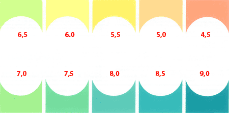 Thang màu đo pH Sera