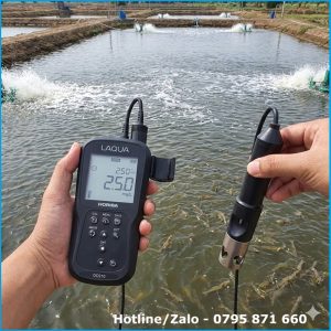 Đo oxy hòa tan DO trong ao tôm để kiểm tra tình trạng thiếu oxy khiến tôm nổi đầu